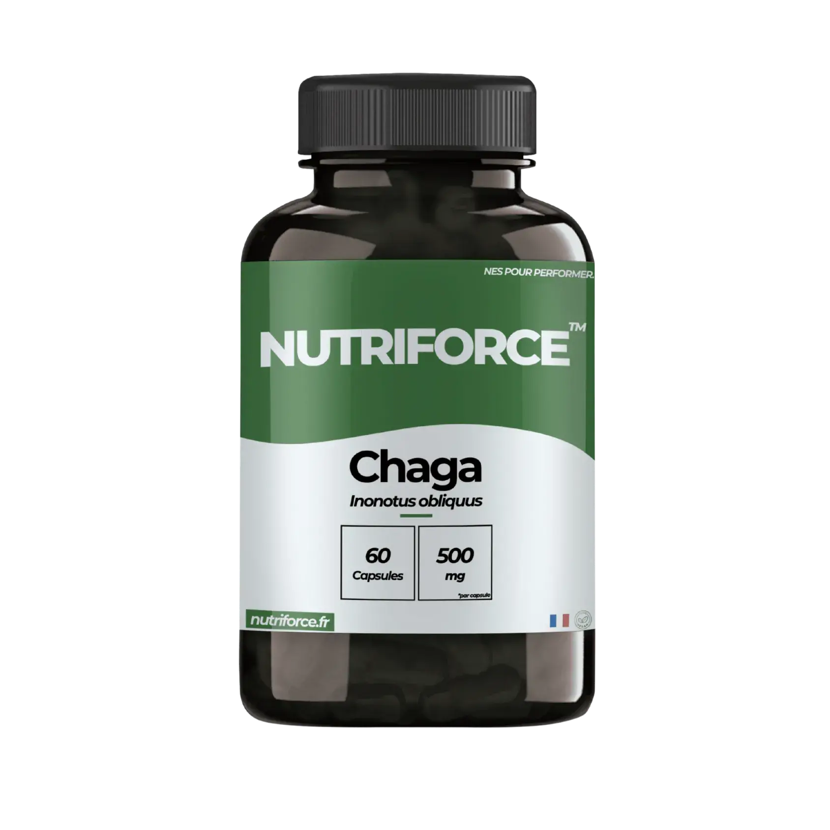 Chaga