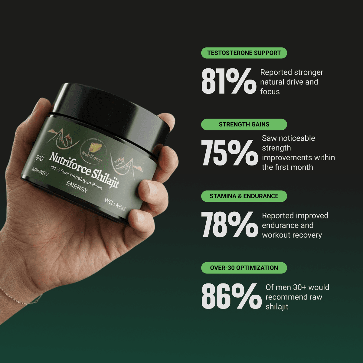 Himalayan Shilajit Resin — view 2