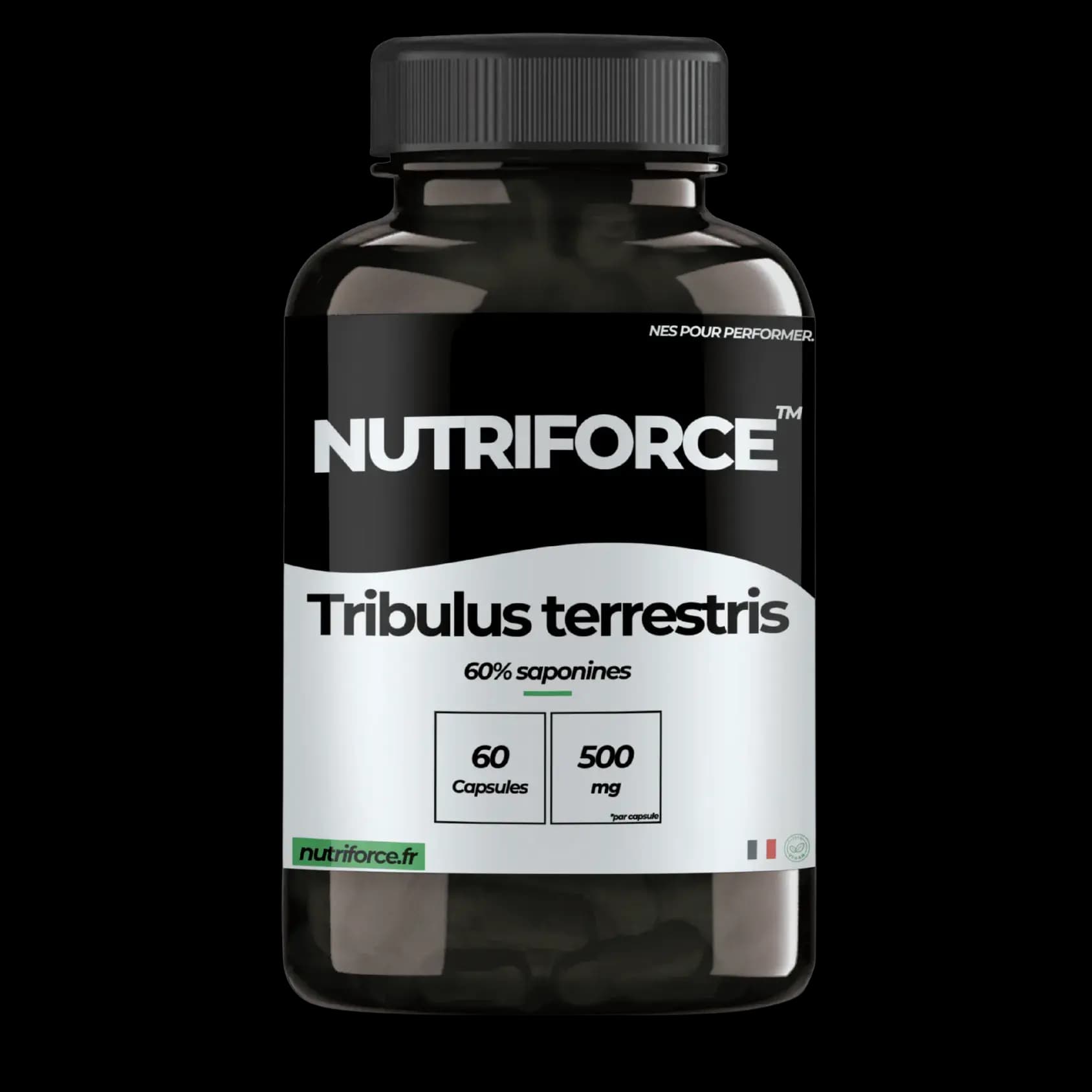Tribulus terrestris