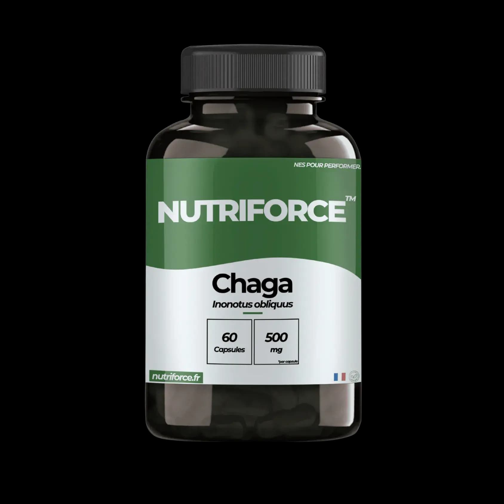 Chaga