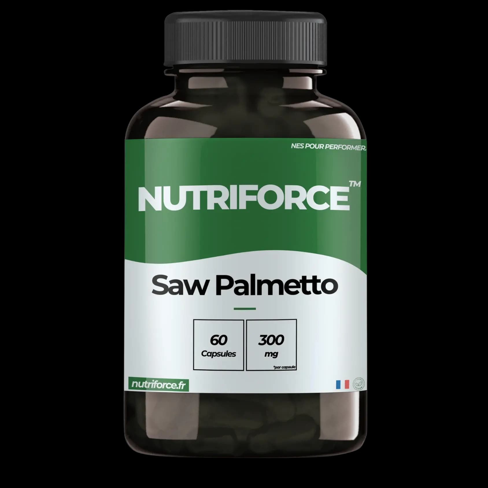 Saw Palmetto (Serenoa repens)