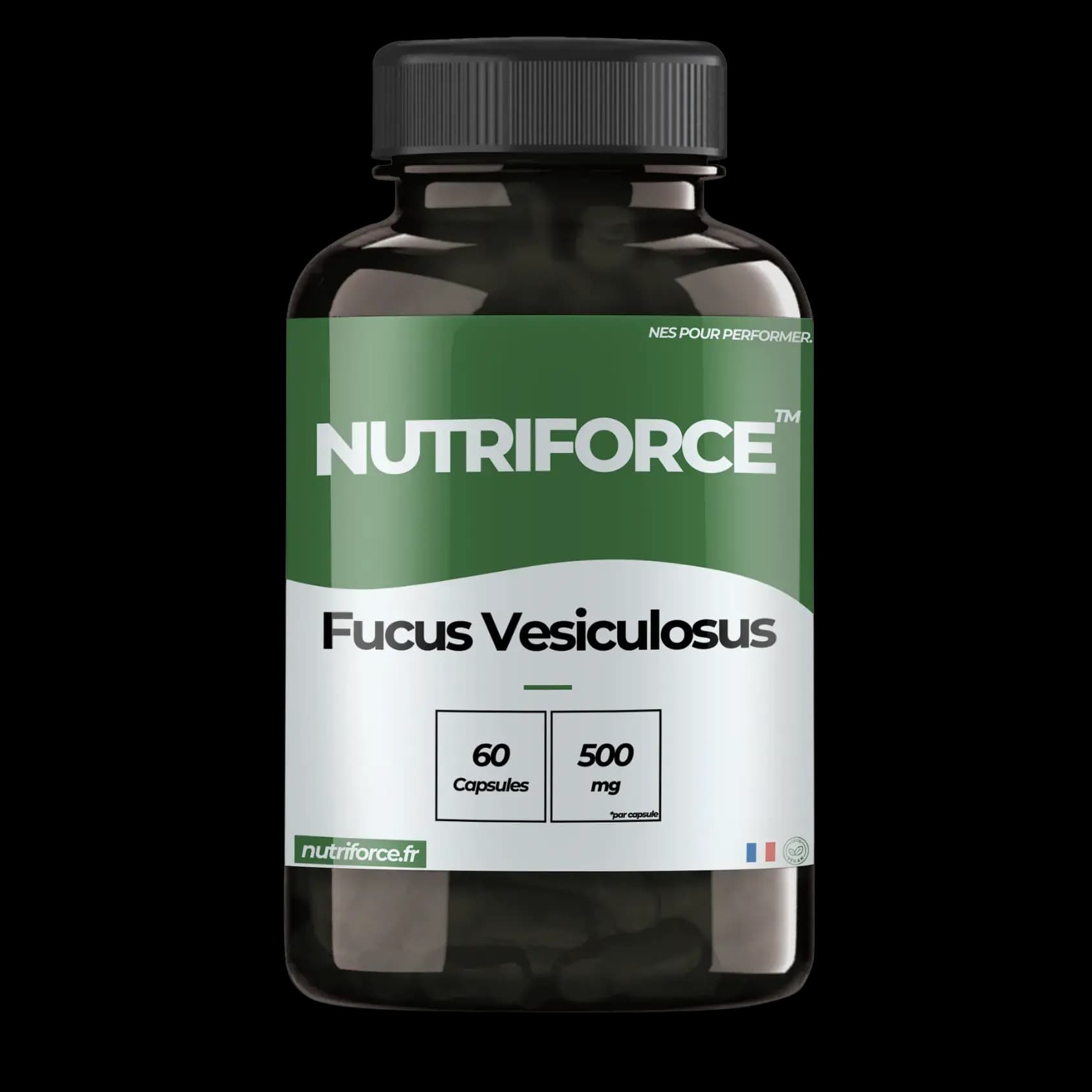 Fucus Vesiculosus