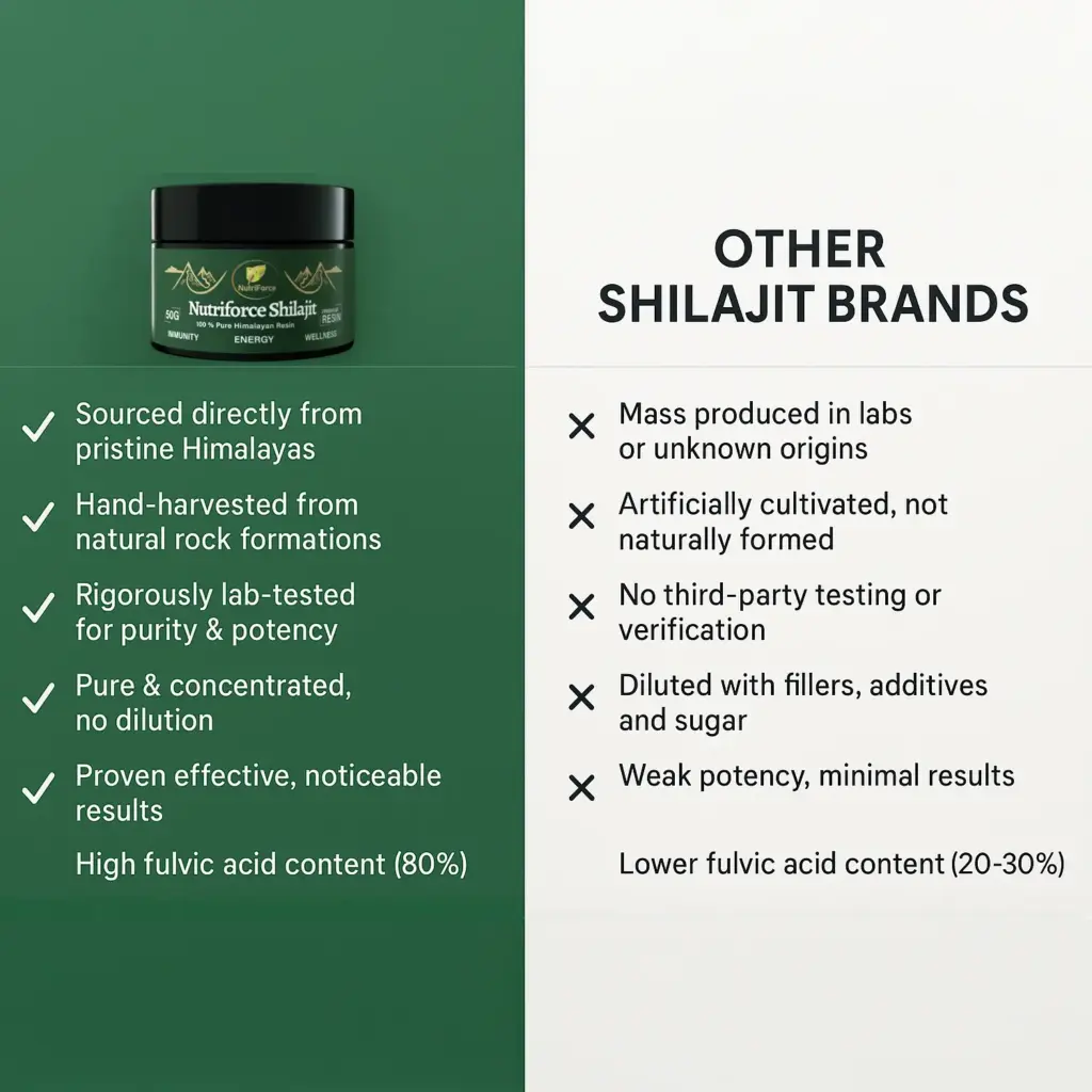 Himalayan Shilajit resin - Image 4