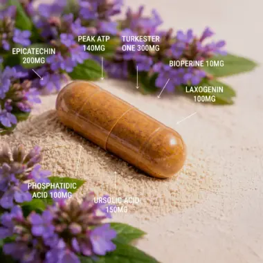 natural myostatin blocker and inhibitor