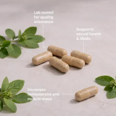 cistanche tubulosa capsules