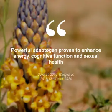 cistanche tubulosa clinical studies by nutriforce