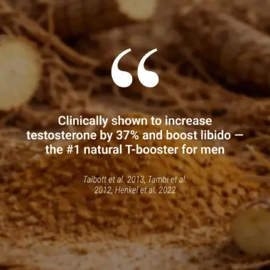 tongkat ali studies on longjack supplement for testosterone