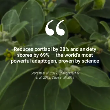 Scientific chart and clinical data highlighting the cortisol-lowering effects of Ashwagandha.