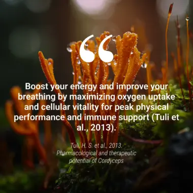 Scientific chart and clinical data highlighting the energy and stamina benefits of cordyceps.