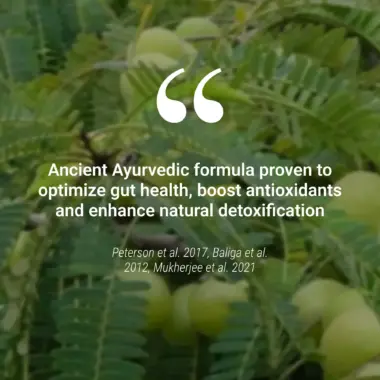 Scientific chart and clinical data highlighting the digestive benefits of Triphala.