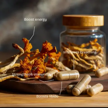 Infographic listing cordyceps benefits: improved oxygen uptake, vitality, and immunity.