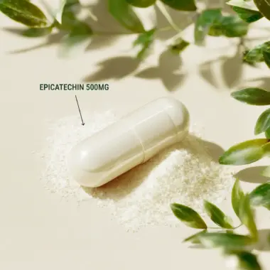 Macro shot of a single Epicatechin capsule showing the high-potency extract powder.