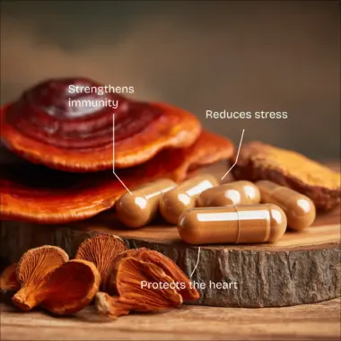 Infographic listing Reishi benefits: relaxation, longevity, and natural defense support.