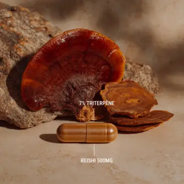 Macro shot of a single Reishi capsule showing the concentrated dark mushroom powder.