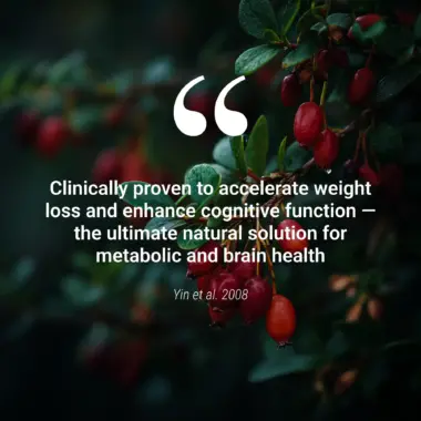 Clinical study results by Yin et al. 2008 and Zamani et al. 2022 proving berberine's metabolic efficiency.