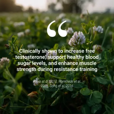 Clinical study chart showing the proven effectiveness of fenugreek on vitality and metabolism.