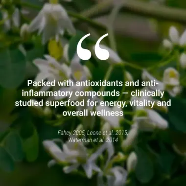 Clinical evidence showing how Moringa improves memory and protects brain health (Zamani et al. 2022).