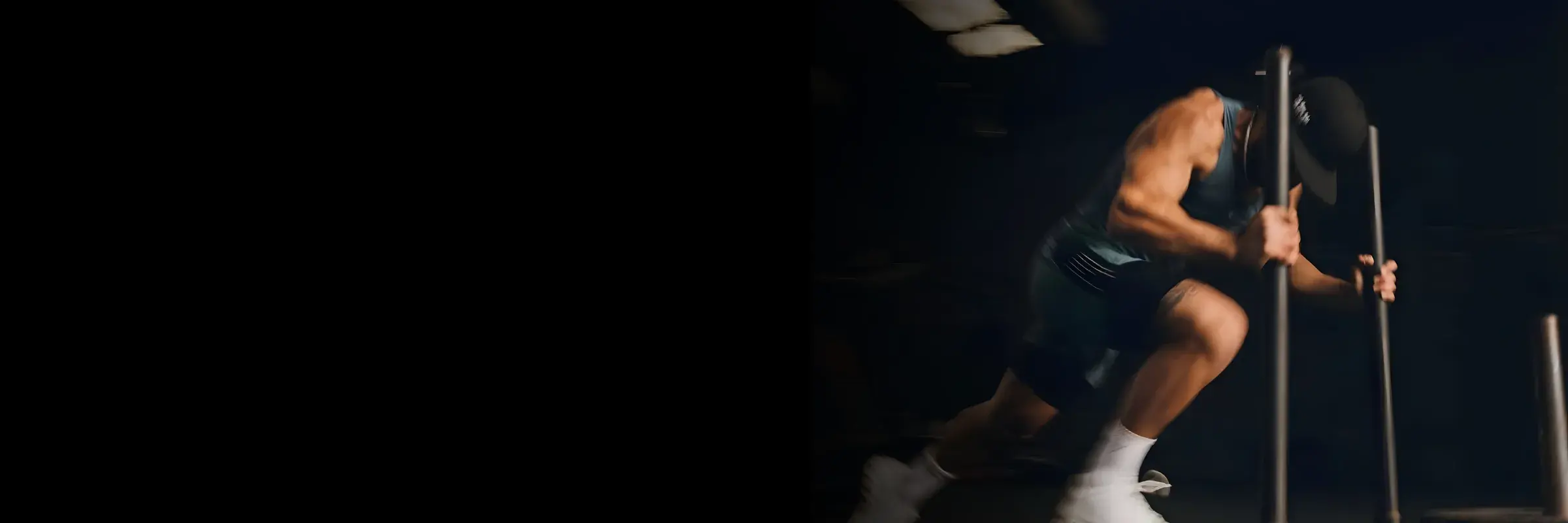 Nutriforce - Natural Dietary Supplements